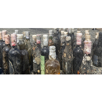 熱海海底熟成ワイン販売開始